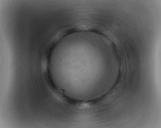 X0000115530647200911061441