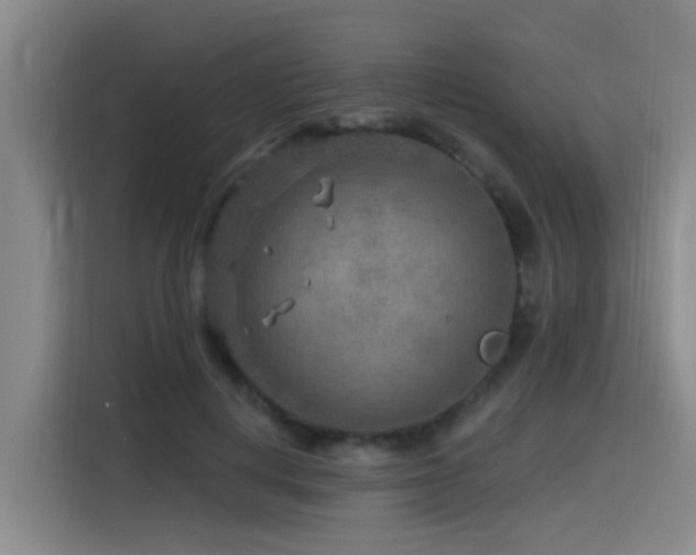 X0000115530648200911061441