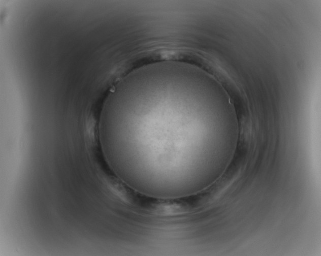 X0000115530650200911061441