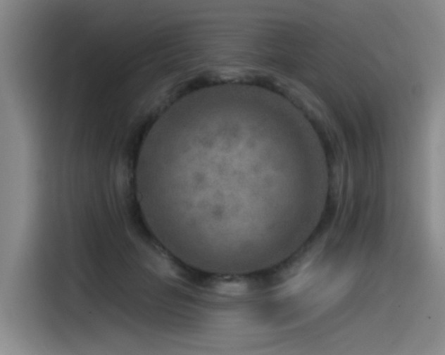 X0000115530653200911061441