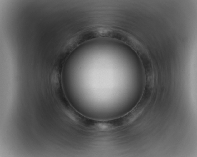 X0000115530654200911061441