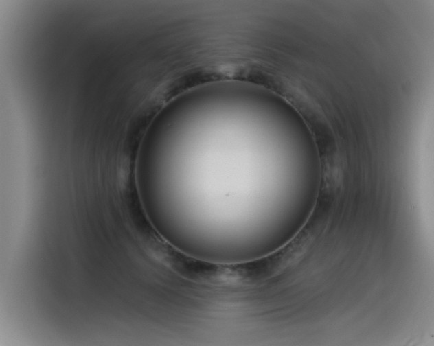 X0000115530656200911061441