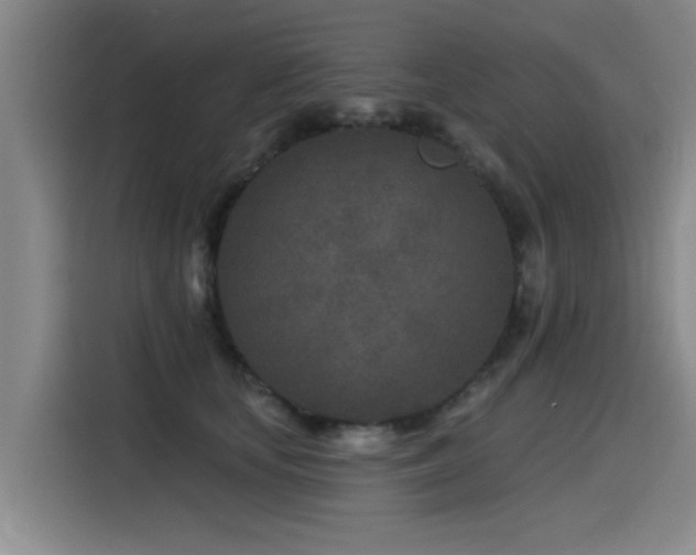 X0000115530659200911061441