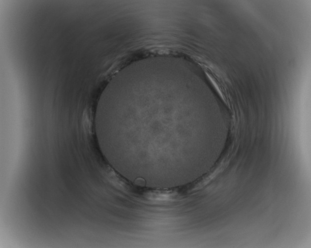 X0000115530661200911061441