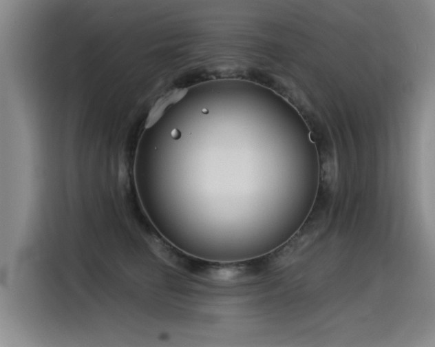 X0000115530662200911061441