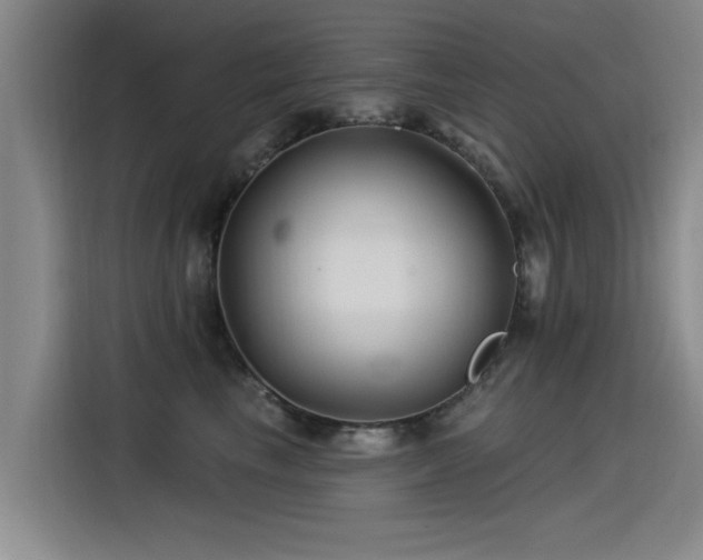 X0000115530665200911061441