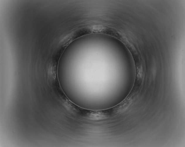 X0000115530666200911061441