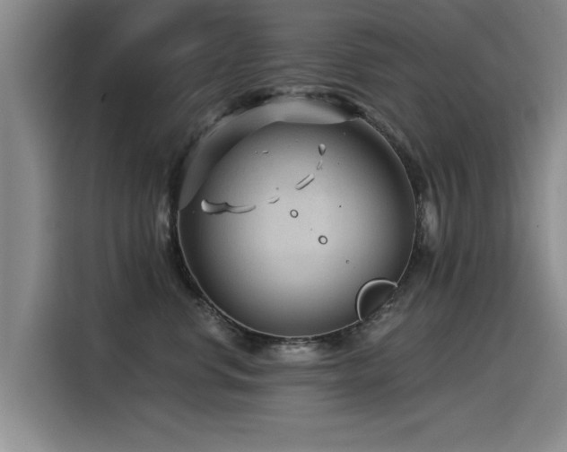 X0000115530668200911061441