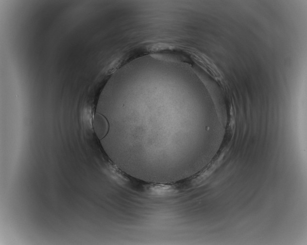 X0000115530669200911061441