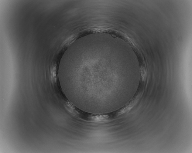 X0000115530670200911061441