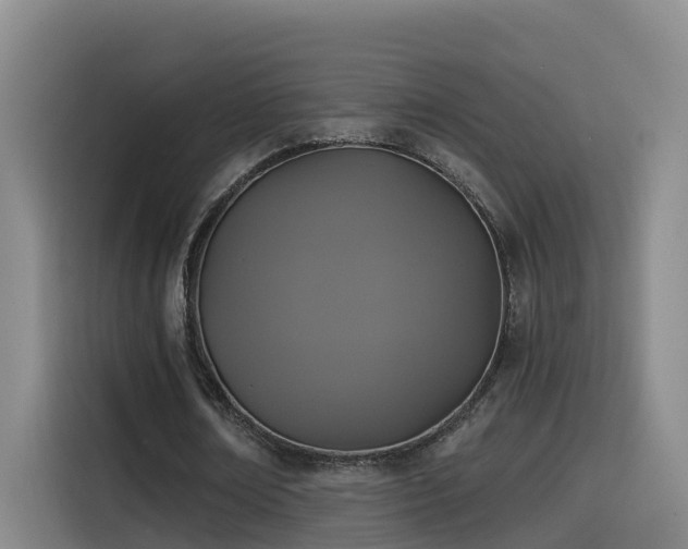 X0000115530674200911061441