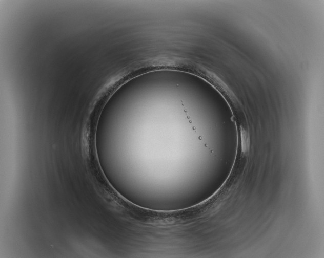 X0000115530675200911061441