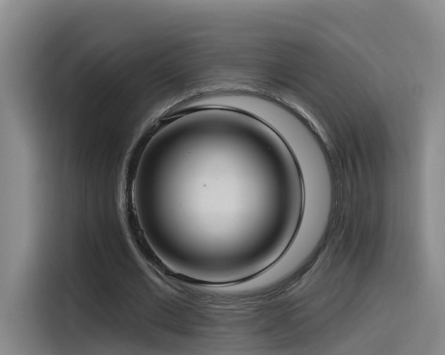 X0000115530677200911061441