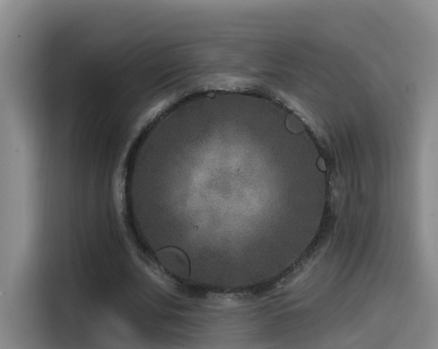 X0000115530679200911061441