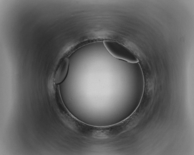 X0000115530680200911061441