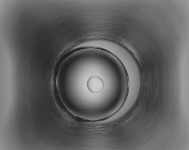 X0000115530681200911061440