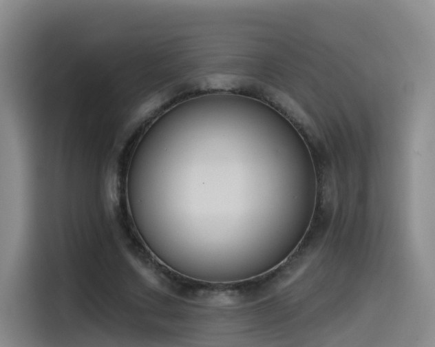 X0000115530683200911061440