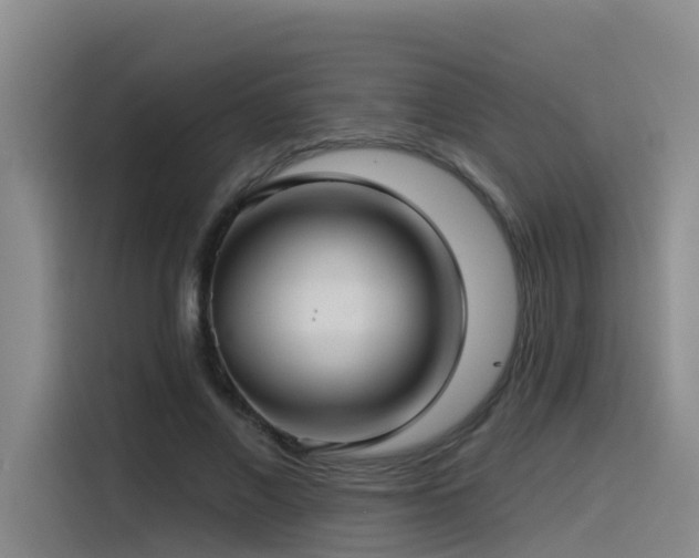 X0000115530685200911061440