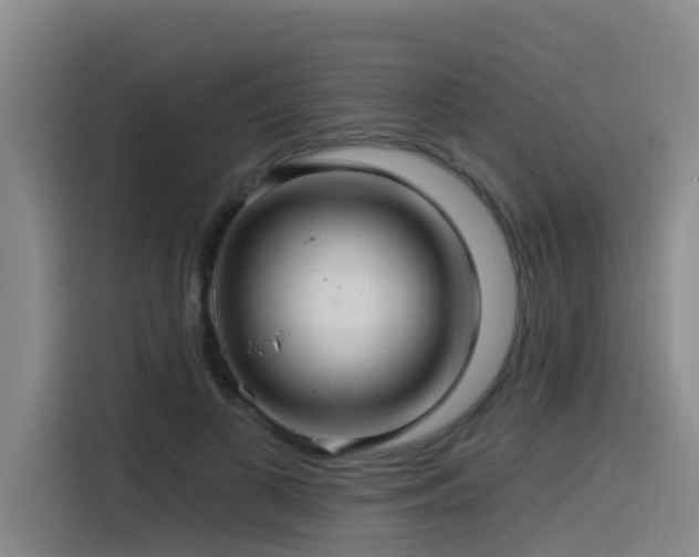 X0000115530693200911061440