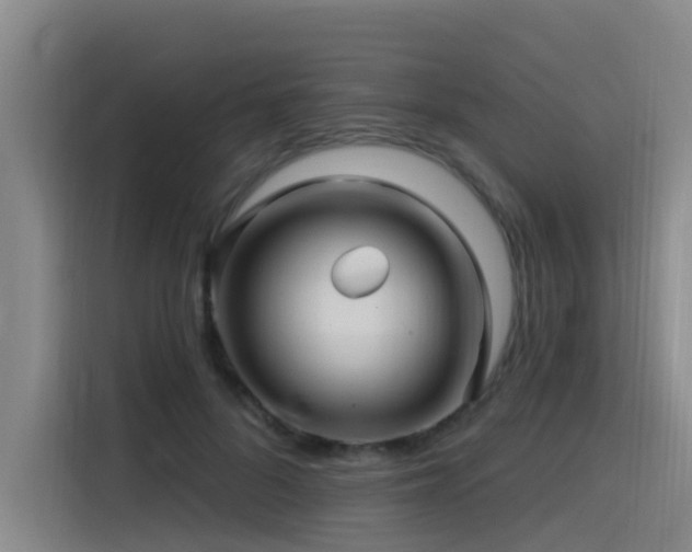 X0000115530696200911061440