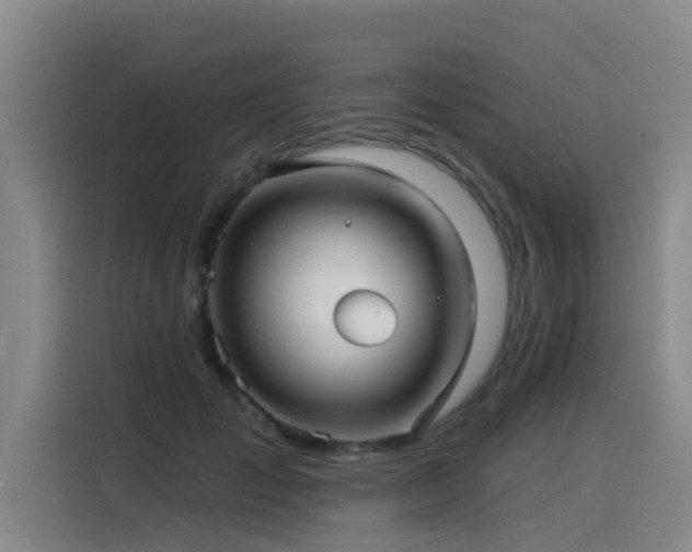 X0000115530701200911061440
