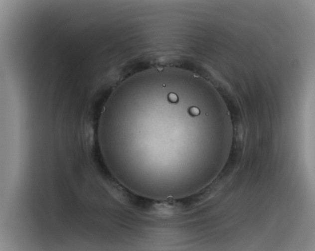 X0000115530703200911061440