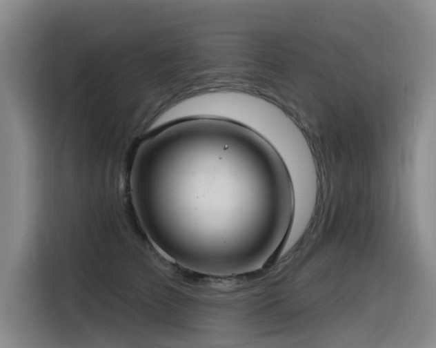 X0000115530709200911061440