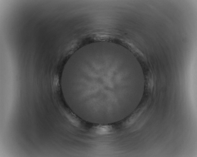 X0000115530711200911061440