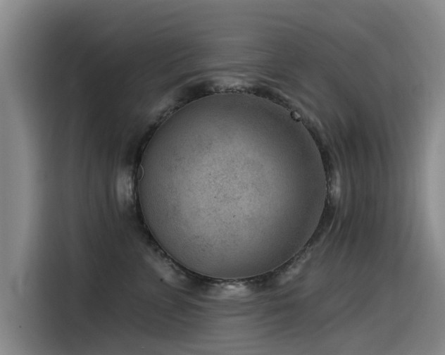 X0000115530715200911061440