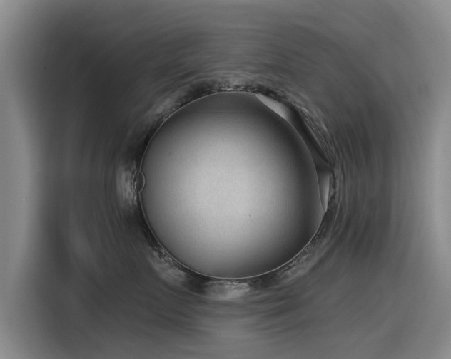 X0000115530719200911061440