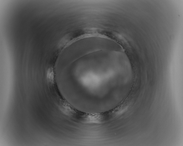 X0000115530720200911061440