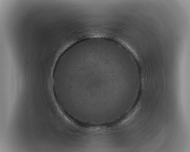 X0000115530721200911061439