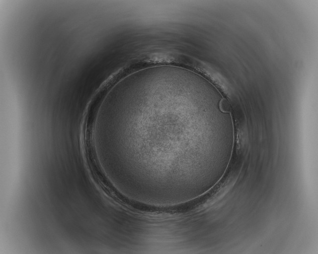 X0000115530722200911061439