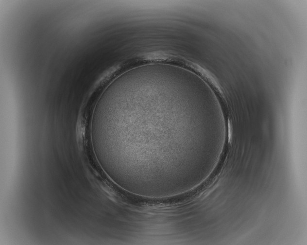 X0000115530723200911061439