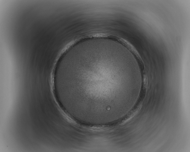 X0000115530725200911061439