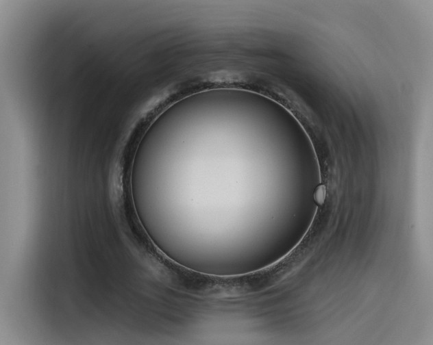 X0000115530727200911061439