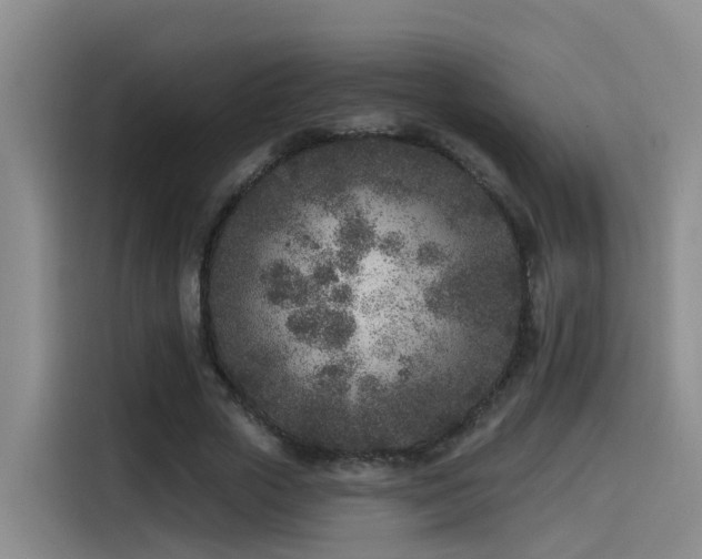 X0000115530729200911061439