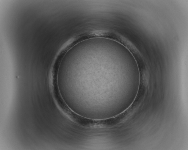 X0000115530730200911061439