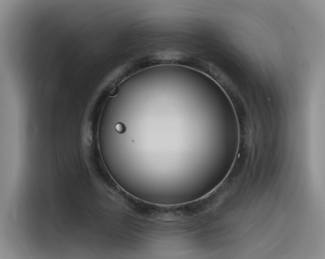 X0000115530731200911061439