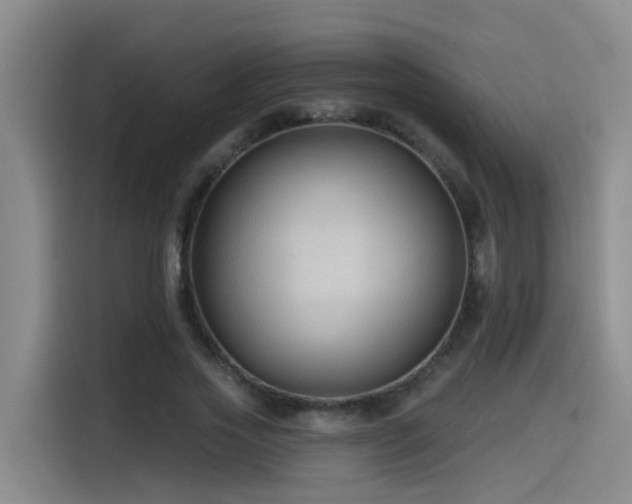 X0000115530733200911061440
