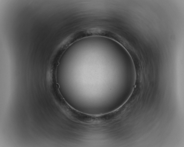 X0000115530735200911061440