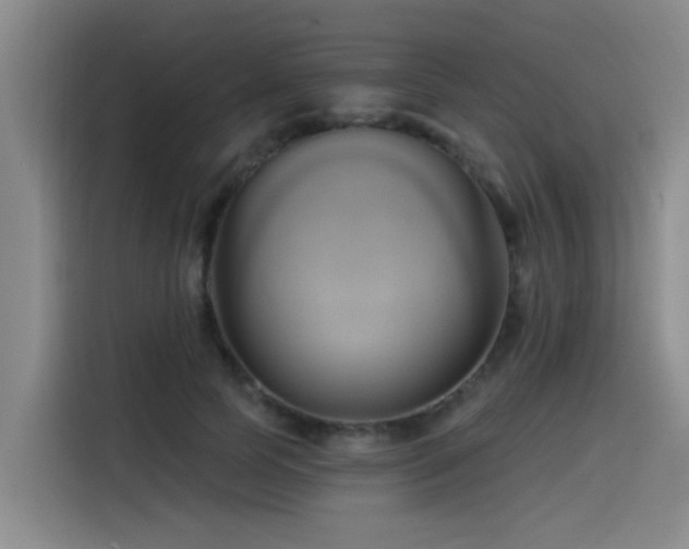 X0000115530745200911061440