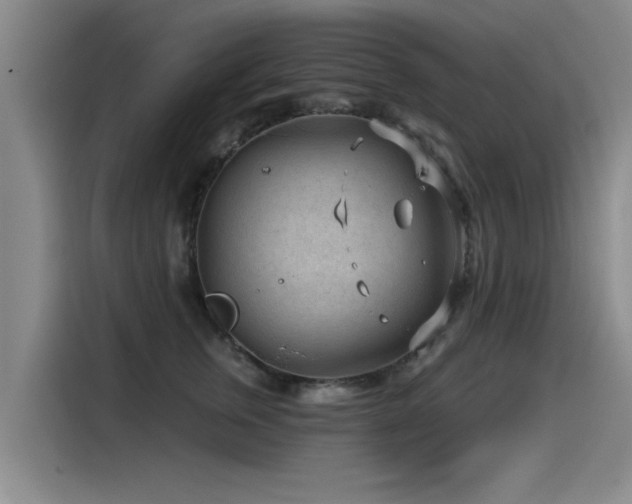X0000115530759200911061440