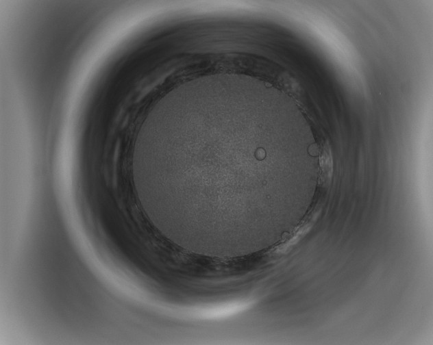 X0000115530765200911061440