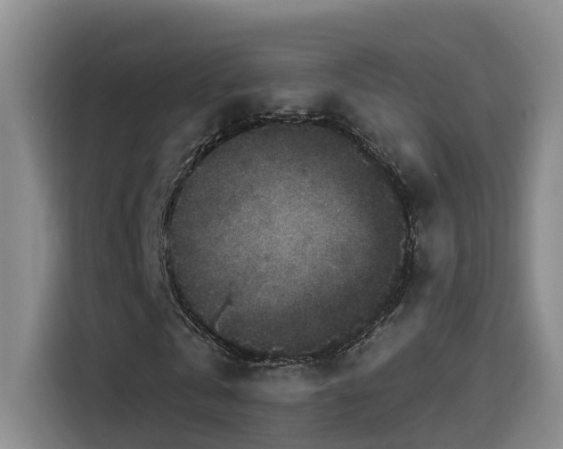 X0000115530769200911061439