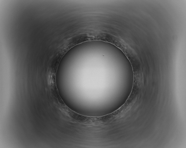 X0000115530770200911061439