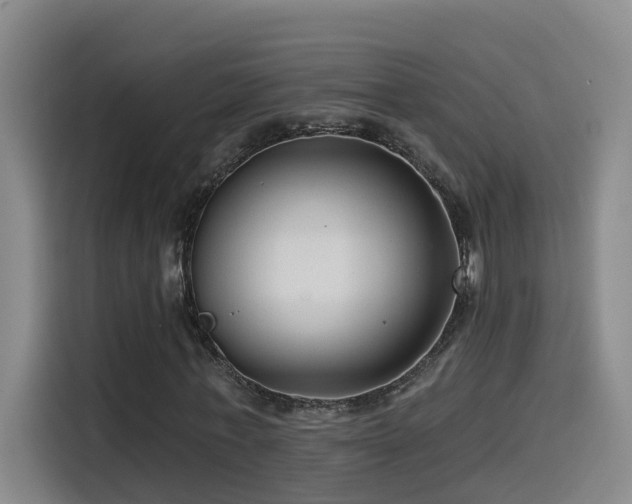 X0000115530771200911061439