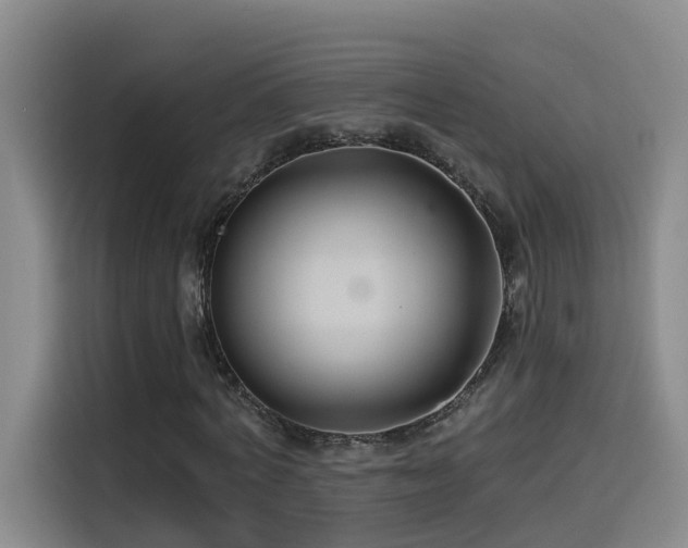 X0000115530772200911061439