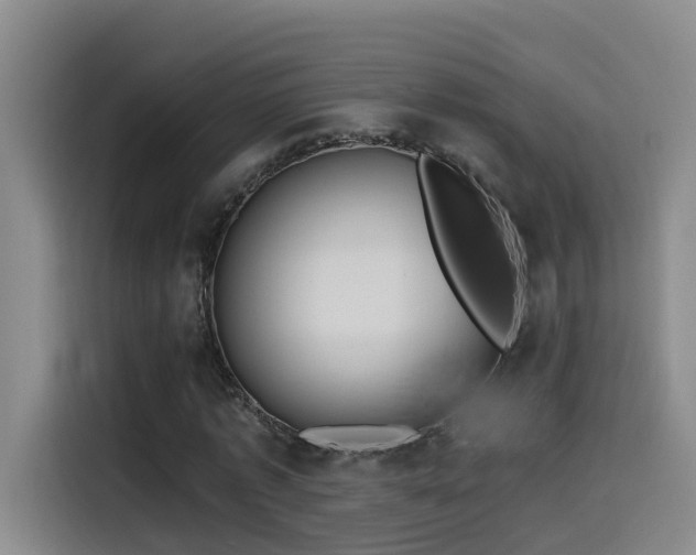 X0000115530773200911061439