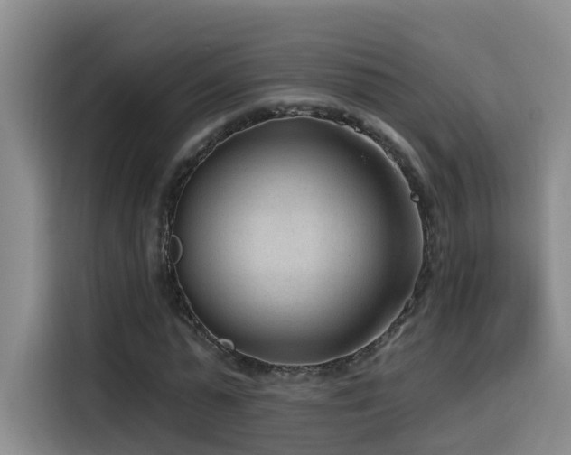 X0000115530775200911061439
